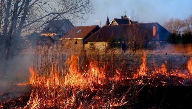 О НЕДОПУСТИМОСТИ  НЕКОНТРОЛИРУЕМОГО ПАЛА СУХОЙ РАСТИТЕЛЬНОСТИ.